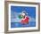 Christmas 13 Gift-Veruschka Guerra-Framed Giclee Print