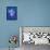 Christmas 14 Snowflake Magic-Veruschka Guerra-Framed Premier Image Canvas displayed on a wall