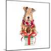 Christmas Airedale Terrier-Lanie Loreth-Mounted Art Print