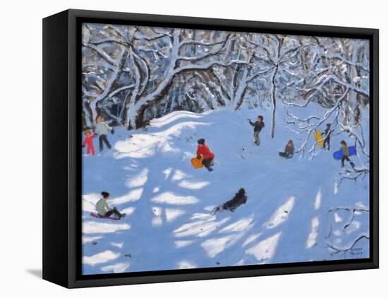 Christmas, Allestree Woods, Derby, 2017-Andrew Macara-Framed Premier Image Canvas