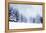 Christmas Background with Snowy Fir Trees-melis-Framed Premier Image Canvas