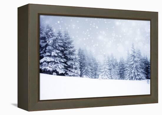 Christmas Background with Snowy Fir Trees-melis-Framed Premier Image Canvas