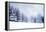 Christmas Background with Snowy Fir Trees-melis-Framed Premier Image Canvas