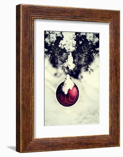 Christmas Ball Hanging on A Spruce Tree - Retro-SHS Photography-Framed Photographic Print