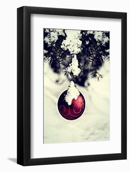 Christmas Ball Hanging on A Spruce Tree - Retro-SHS Photography-Framed Photographic Print