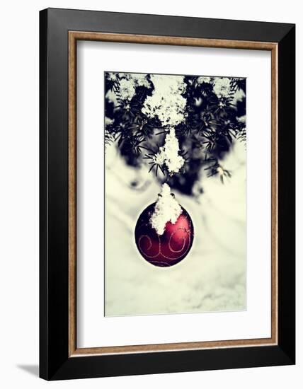 Christmas Ball Hanging on A Spruce Tree - Retro-SHS Photography-Framed Photographic Print