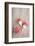 Christmas Balls, Red, Snow-Covered, Toadstools-Nikky Maier-Framed Photographic Print