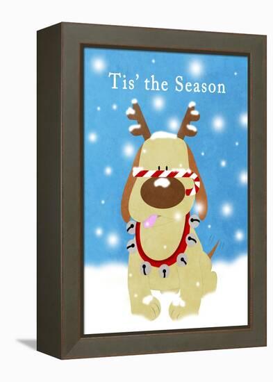 Christmas Barks II-Sd Graphics Studio-Framed Stretched Canvas