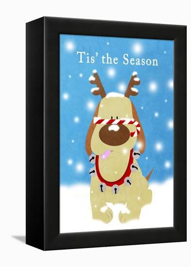 Christmas Barks II-Sd Graphics Studio-Framed Stretched Canvas