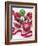 Christmas Baubles-Assaf Frank-Framed Giclee Print