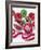 Christmas Baubles-Assaf Frank-Framed Giclee Print