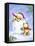 Christmas Bears and Snow Ball-MAKIKO-Framed Premier Image Canvas