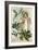 Christmas Bonnet-The Vintage Collection-Framed Giclee Print