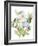 Christmas Bouquet I-Lanie Loreth-Framed Art Print