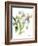 Christmas Bouquet II-Lanie Loreth-Framed Art Print