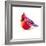 Christmas Cardinal I-Patricia Pinto-Framed Art Print