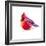 Christmas Cardinal I-Patricia Pinto-Framed Art Print