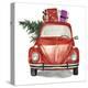 Stretched Canvas Print