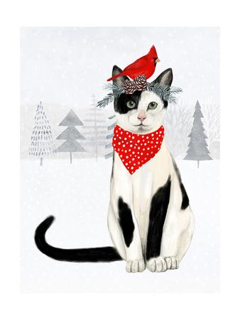 christmas cats and dogs