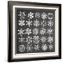 Christmas Chalk 2-Erin Clark-Framed Giclee Print