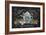 Christmas Chalk VIII-Mary Urban-Framed Art Print