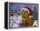 Christmas Crash-Leah Saulnier-Framed Premier Image Canvas