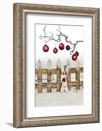 Christmas Decoration and Decoration Fence-Andrea Haase-Framed Photographic Print