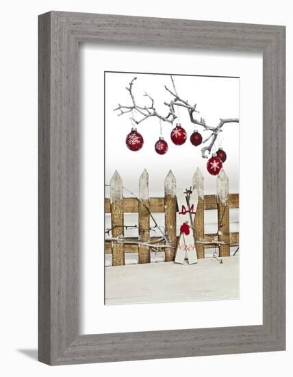 Christmas Decoration and Decoration Fence-Andrea Haase-Framed Photographic Print