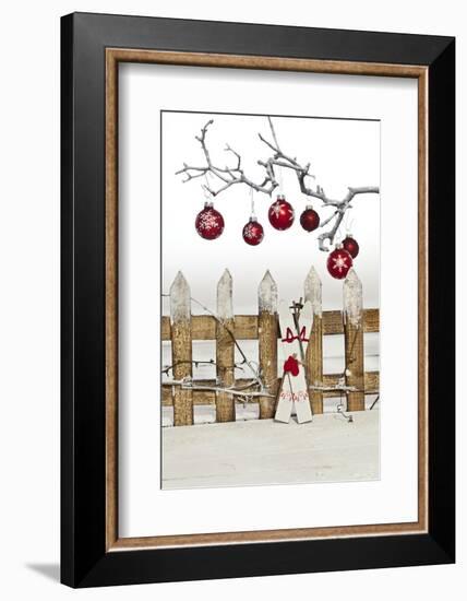 Christmas Decoration and Decoration Fence-Andrea Haase-Framed Photographic Print