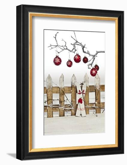 Christmas Decoration and Decoration Fence-Andrea Haase-Framed Photographic Print