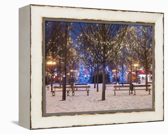 Christmas Decoration at Old Town Square's Park at Twilight, Stare Mesto, Prague, Czech Republic-Richard Nebesky-Framed Premier Image Canvas