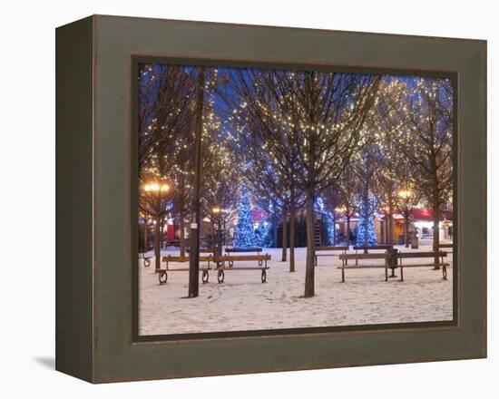 Christmas Decoration at Old Town Square's Park at Twilight, Stare Mesto, Prague, Czech Republic-Richard Nebesky-Framed Premier Image Canvas