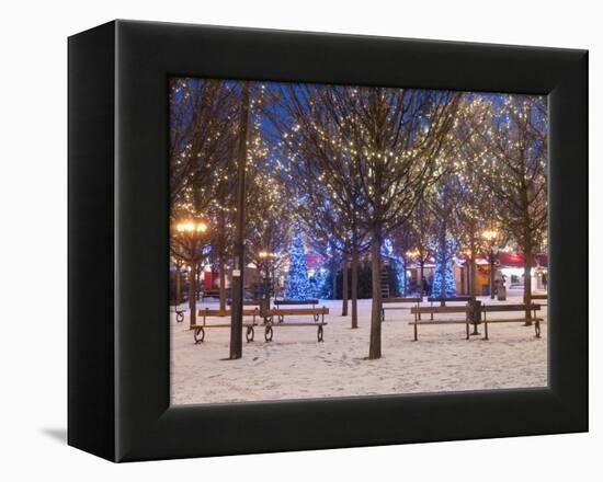 Christmas Decoration at Old Town Square's Park at Twilight, Stare Mesto, Prague, Czech Republic-Richard Nebesky-Framed Premier Image Canvas