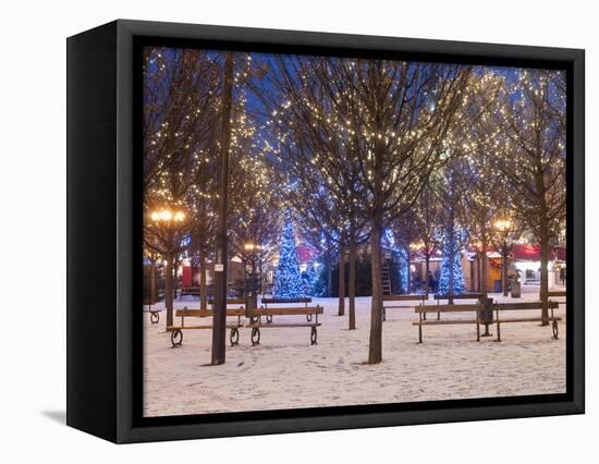 Christmas Decoration at Old Town Square's Park at Twilight, Stare Mesto, Prague, Czech Republic-Richard Nebesky-Framed Premier Image Canvas