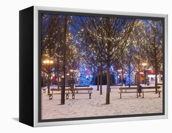 Christmas Decoration at Old Town Square's Park at Twilight, Stare Mesto, Prague, Czech Republic-Richard Nebesky-Framed Premier Image Canvas