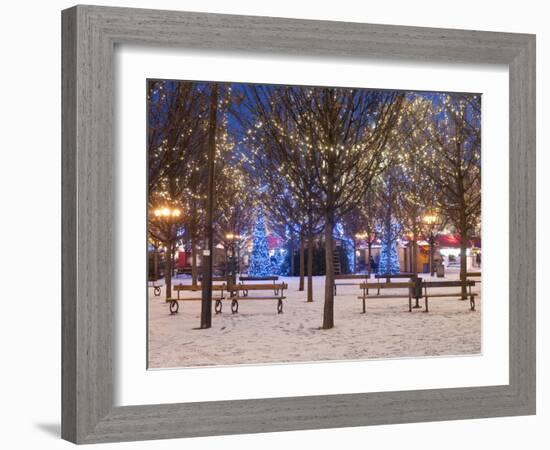 Christmas Decoration at Old Town Square's Park at Twilight, Stare Mesto, Prague, Czech Republic-Richard Nebesky-Framed Photographic Print