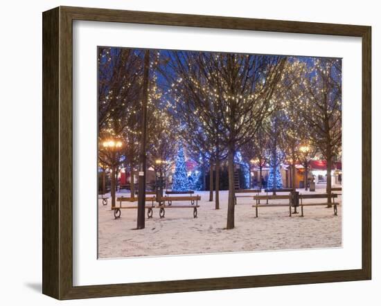 Christmas Decoration at Old Town Square's Park at Twilight, Stare Mesto, Prague, Czech Republic-Richard Nebesky-Framed Photographic Print