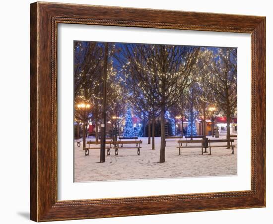 Christmas Decoration at Old Town Square's Park at Twilight, Stare Mesto, Prague, Czech Republic-Richard Nebesky-Framed Photographic Print