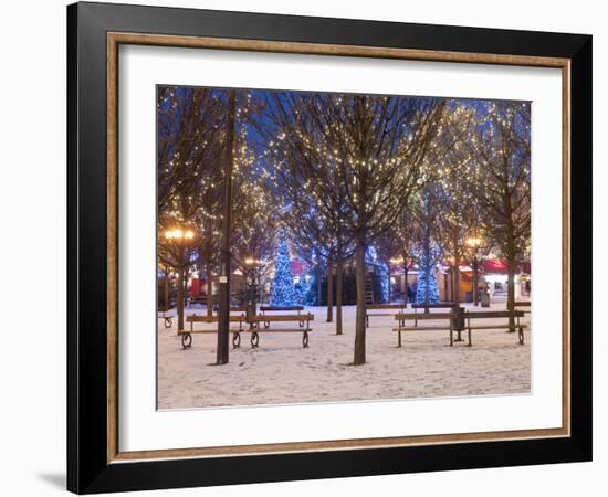 Christmas Decoration at Old Town Square's Park at Twilight, Stare Mesto, Prague, Czech Republic-Richard Nebesky-Framed Photographic Print