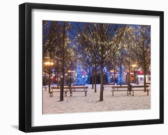 Christmas Decoration at Old Town Square's Park at Twilight, Stare Mesto, Prague, Czech Republic-Richard Nebesky-Framed Photographic Print