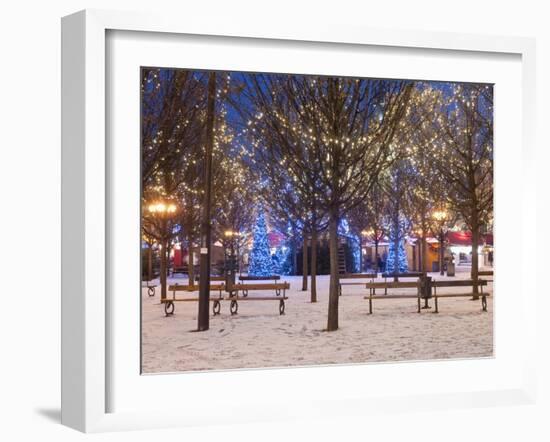 Christmas Decoration at Old Town Square's Park at Twilight, Stare Mesto, Prague, Czech Republic-Richard Nebesky-Framed Photographic Print