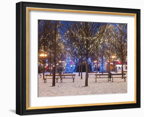 Christmas Decoration at Old Town Square's Park at Twilight, Stare Mesto, Prague, Czech Republic-Richard Nebesky-Framed Photographic Print