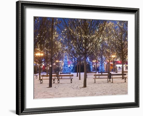 Christmas Decoration at Old Town Square's Park at Twilight, Stare Mesto, Prague, Czech Republic-Richard Nebesky-Framed Photographic Print