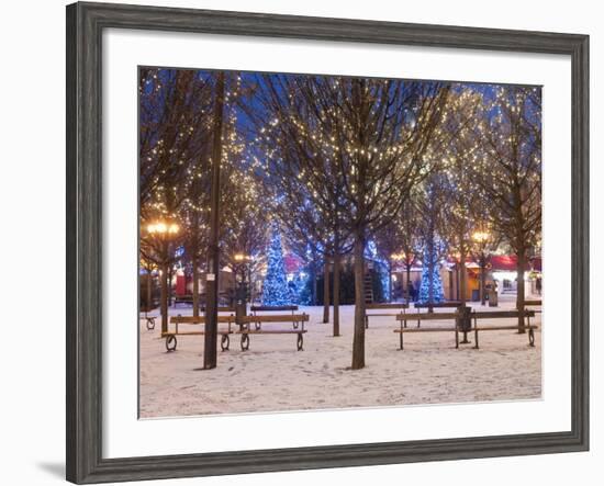 Christmas Decoration at Old Town Square's Park at Twilight, Stare Mesto, Prague, Czech Republic-Richard Nebesky-Framed Photographic Print