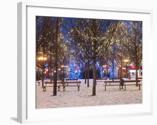 Christmas Decoration at Old Town Square's Park at Twilight, Stare Mesto, Prague, Czech Republic-Richard Nebesky-Framed Photographic Print