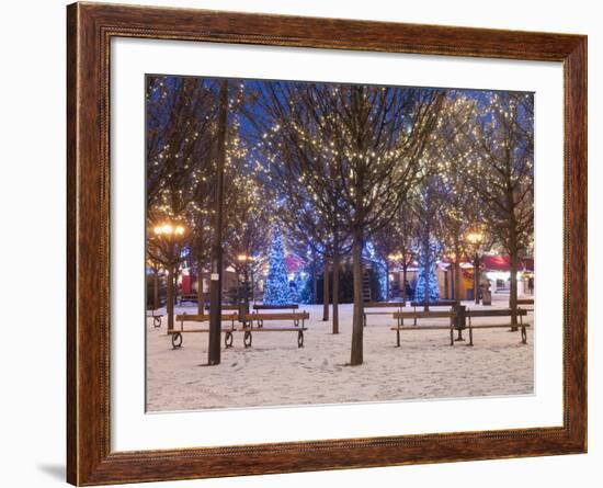 Christmas Decoration at Old Town Square's Park at Twilight, Stare Mesto, Prague, Czech Republic-Richard Nebesky-Framed Photographic Print