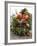 Christmas Decoration: Fruit, Nuts, Cones and Box Wreath-null-Framed Photographic Print