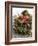 Christmas Decoration: Fruit, Nuts, Cones and Box Wreath-null-Framed Photographic Print