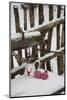 Christmas decoration in the snow, decoration, still life-Andrea Haase-Mounted Photographic Print