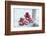 Christmas decoration in the snow, decoration, still life-Andrea Haase-Framed Photographic Print